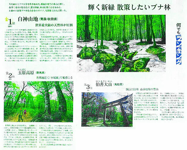 日本経済新聞で白神山地が掲載されました！