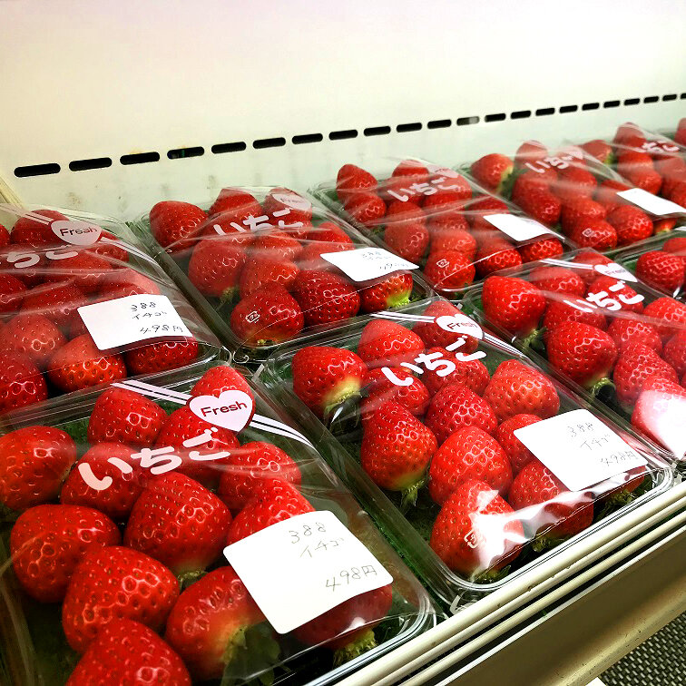 ～春の人気農産物増加！～