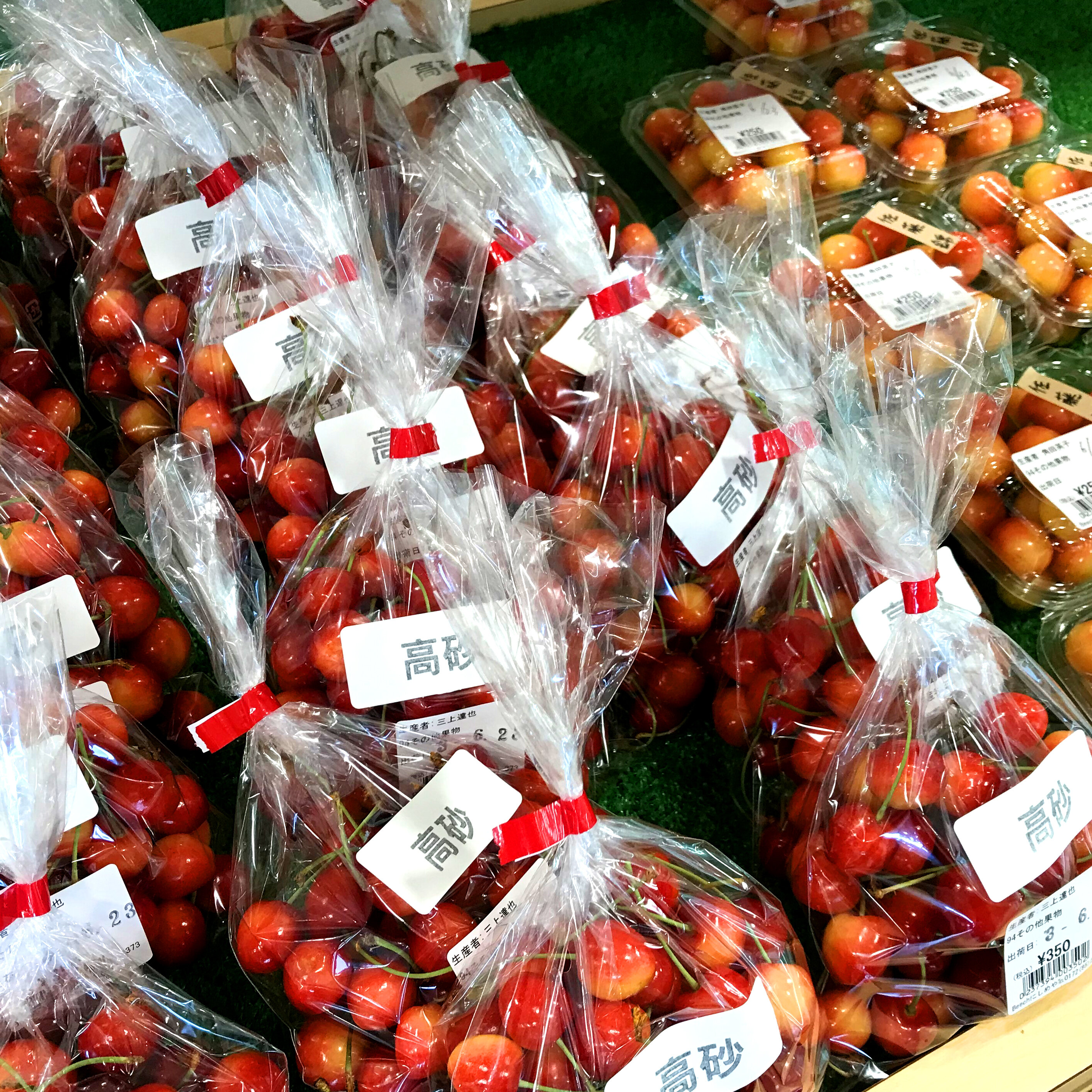 ～さくらんぼが続々入荷！～