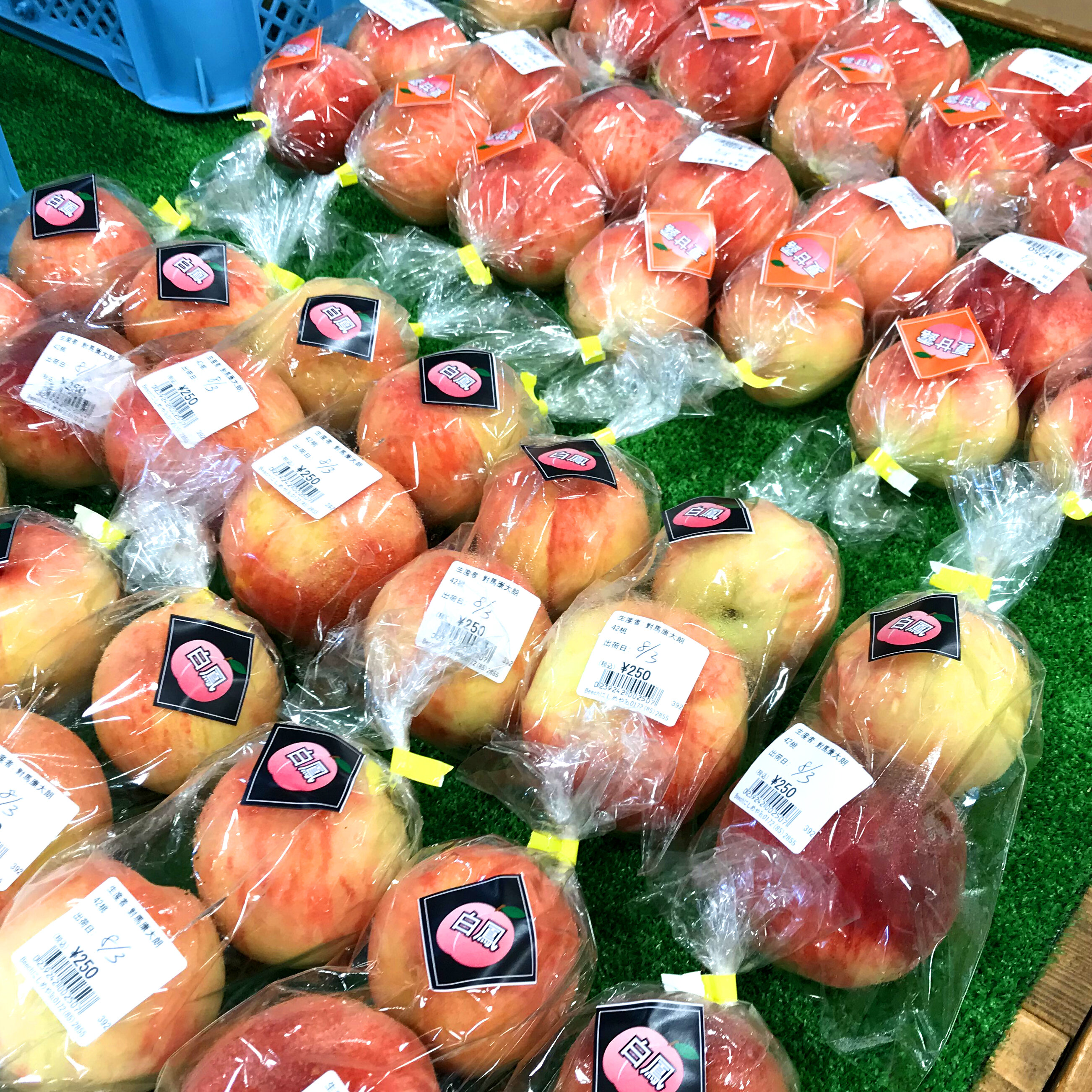 ～道の駅津軽白神・桃が大量入荷！～