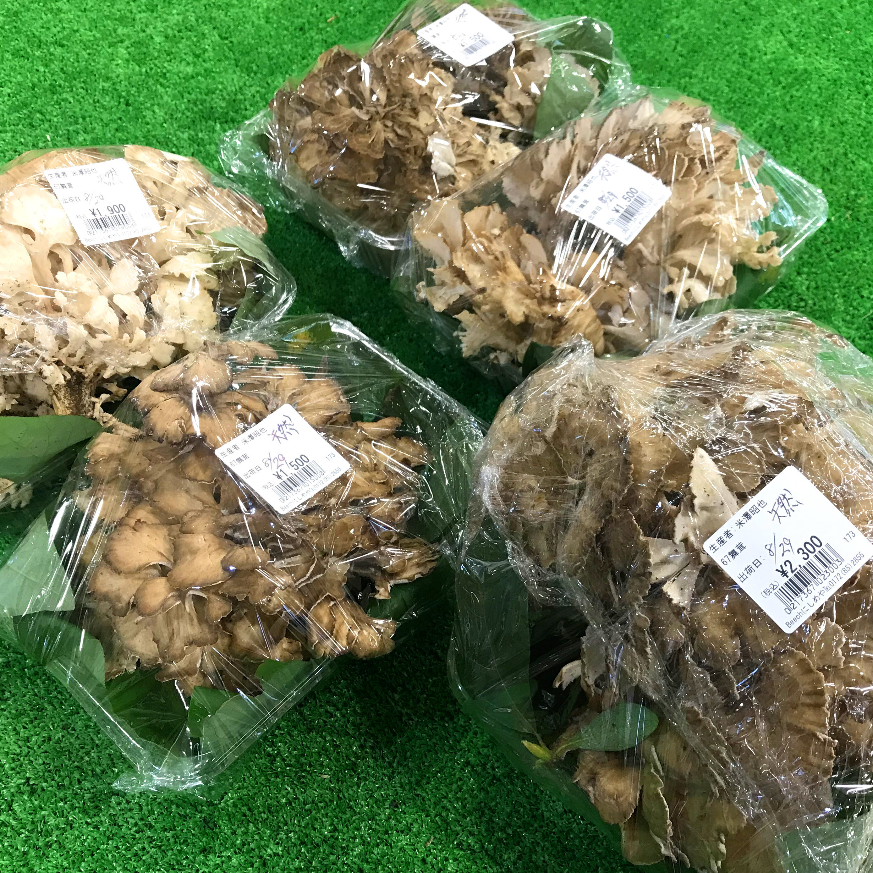 ～ 天然舞茸・初入荷!! ～