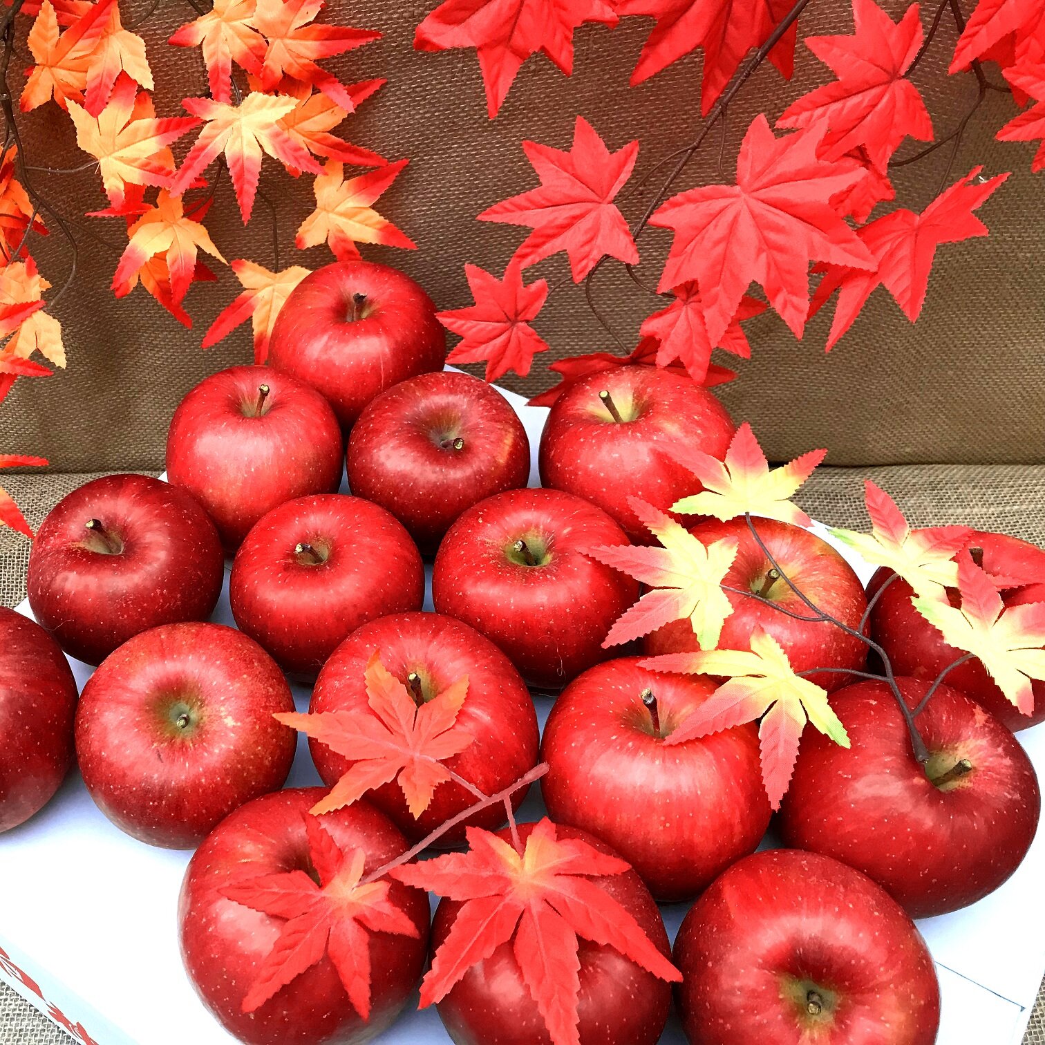 ～ ふるさと納税の返礼品で「白神山地りんご」いかがでしょうか？ ～