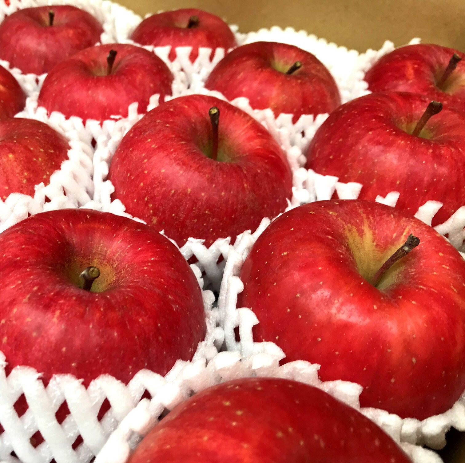 ～「白神山地りんご」はいかがでしょうか？ ～