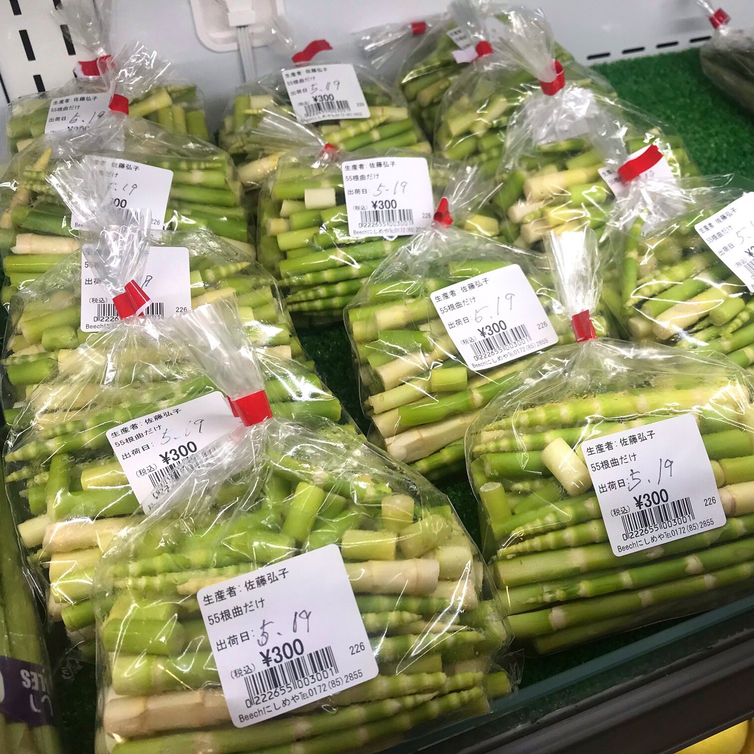 ～春の人気農産物～