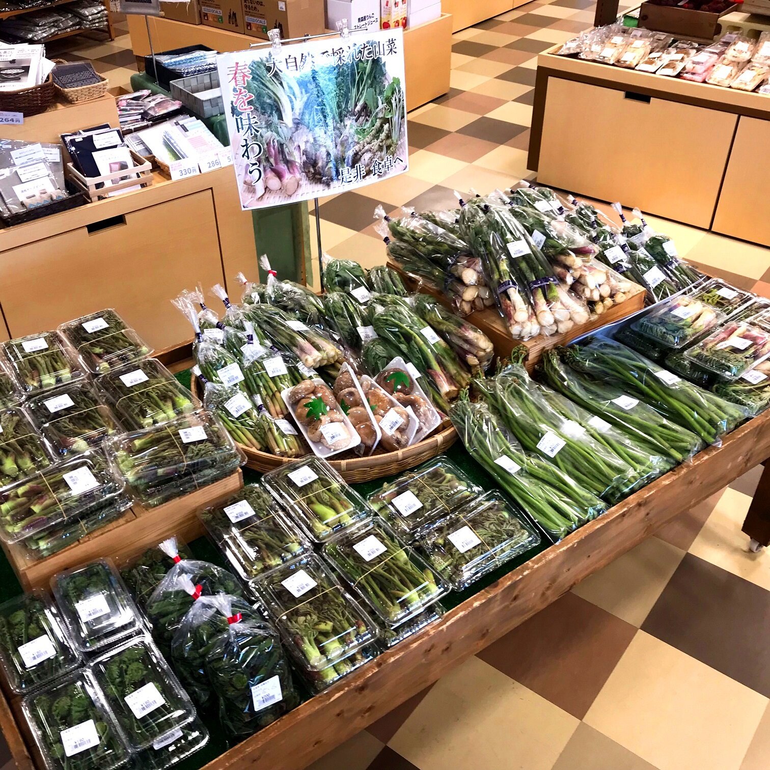 ～今年も春の山菜で大賑わい～