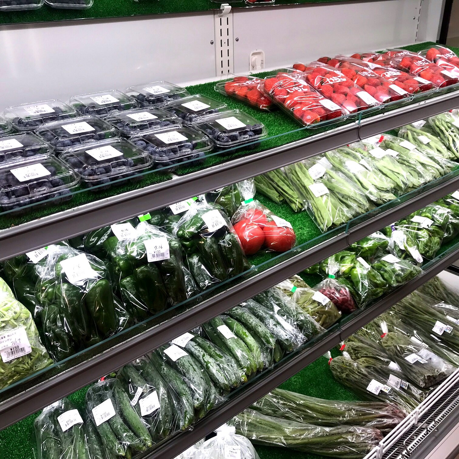 【夏野菜が増えてきました】