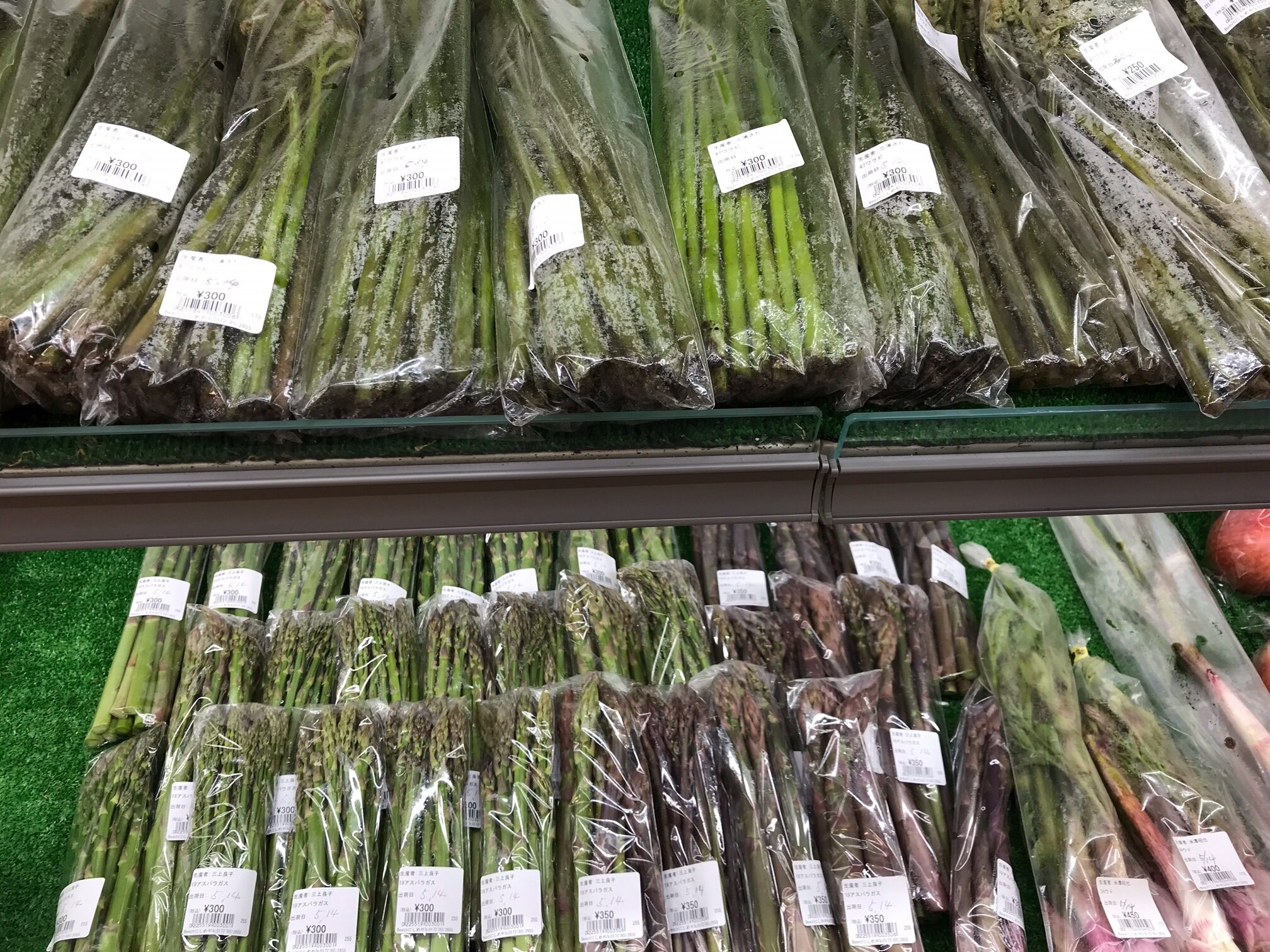 【山菜等の入荷状況】