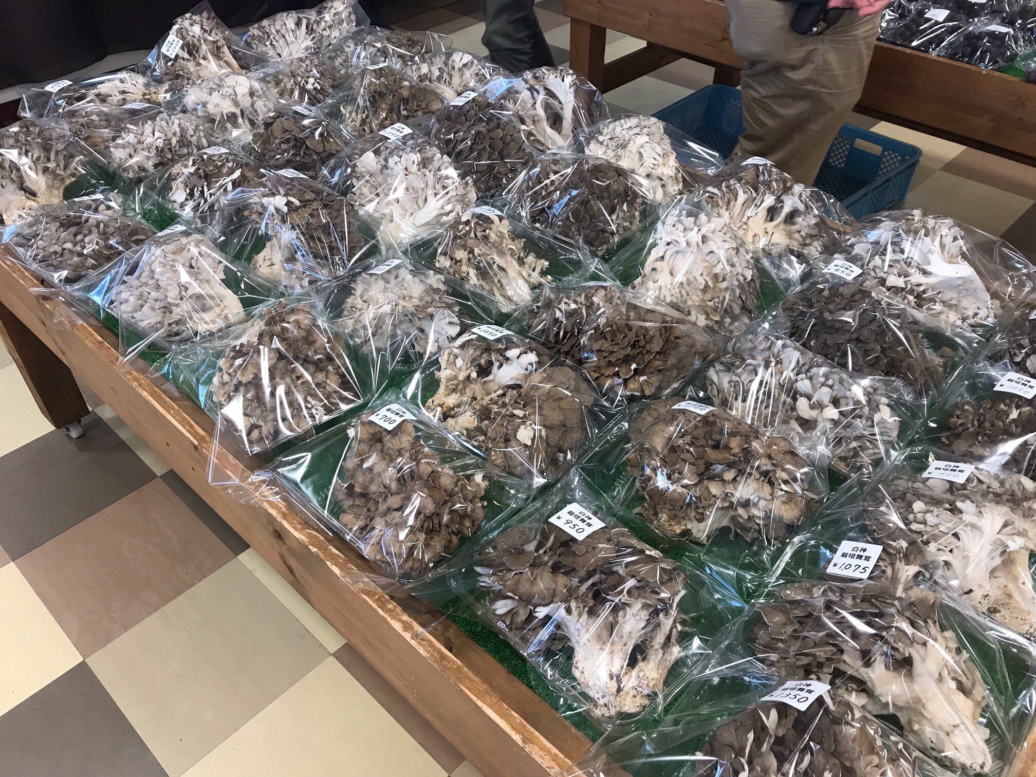 【栽培舞茸大量入荷！】