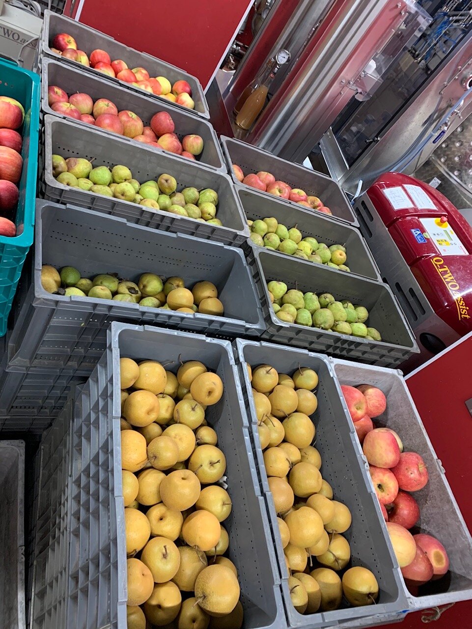 【にしめや特産会で作るミックスワインを醸造中】