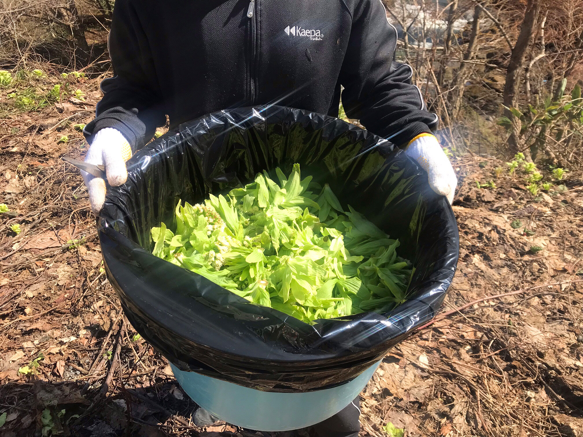 【道の駅「手作りジェラートアイス」販売開始】