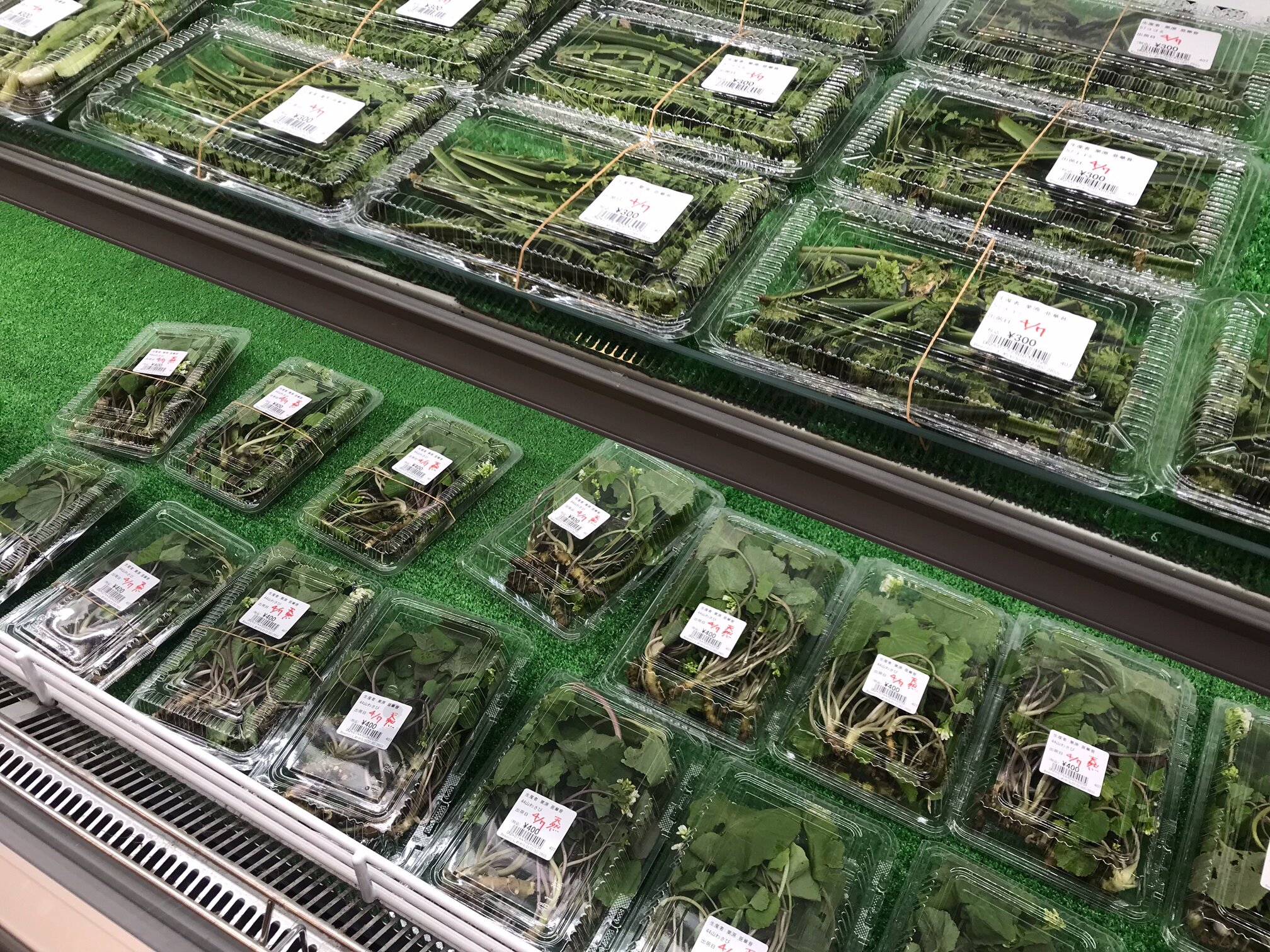 【新商品 多数入荷しました!】