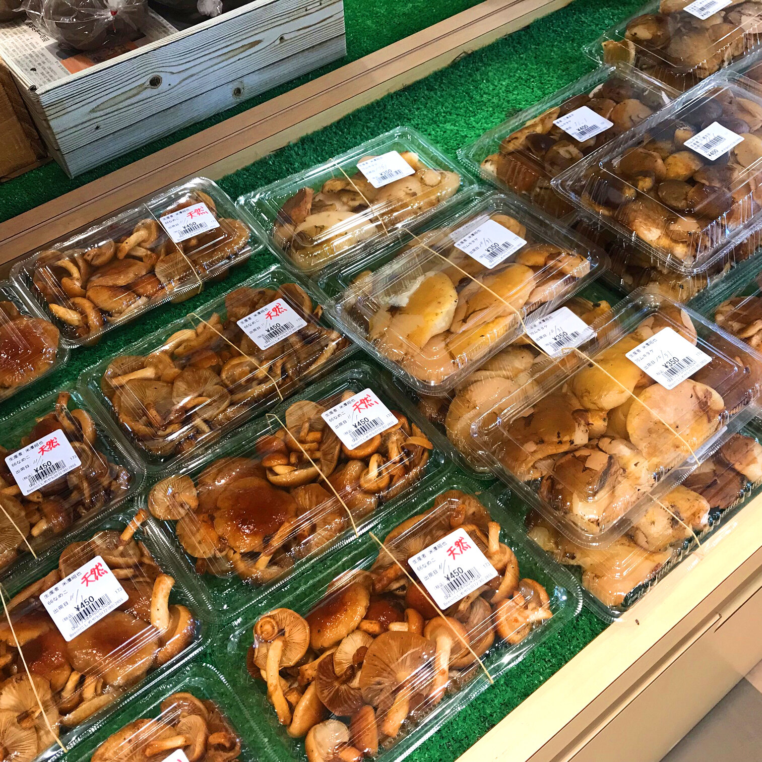 【里山周辺の紅葉について】