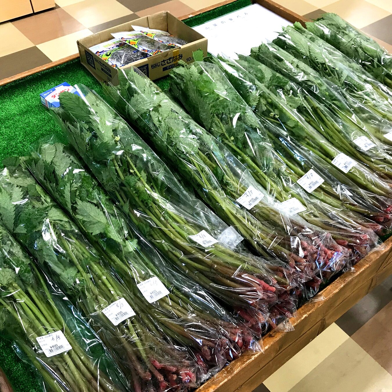 ~ミズの時期がやってきた!~