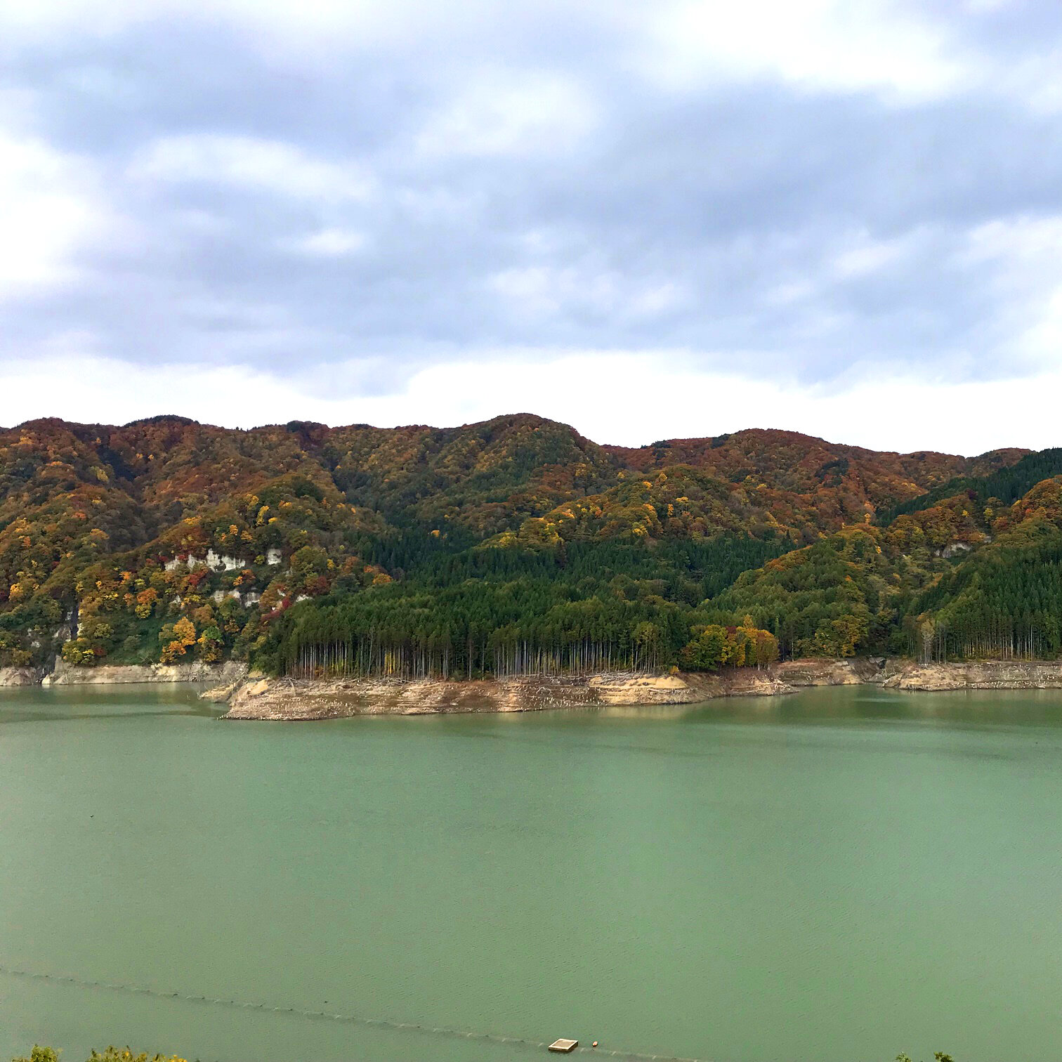 ダム紅葉02.jpg