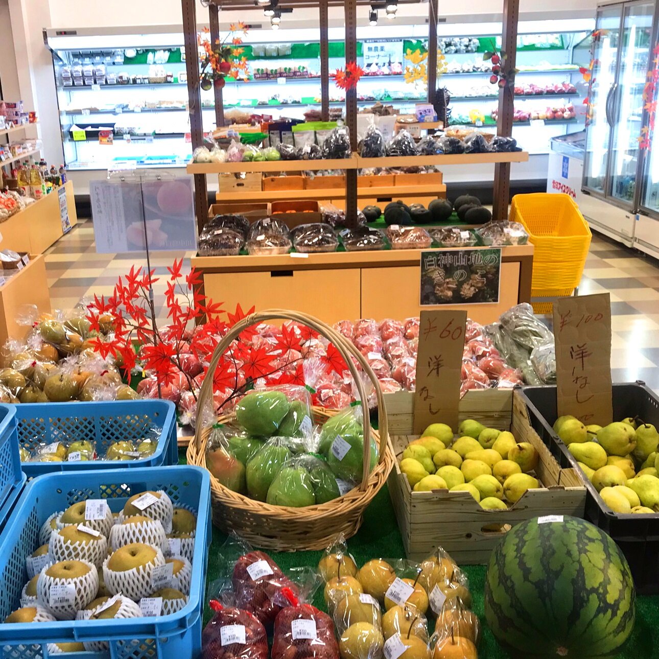 【秋の実りでイッパイ!モンベル商品も増加】