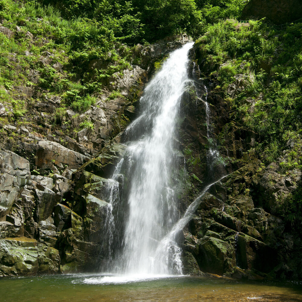 【白神山地観光シーズン到来!】