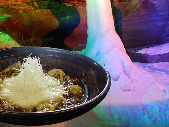 レストラン・新メニューのご紹介