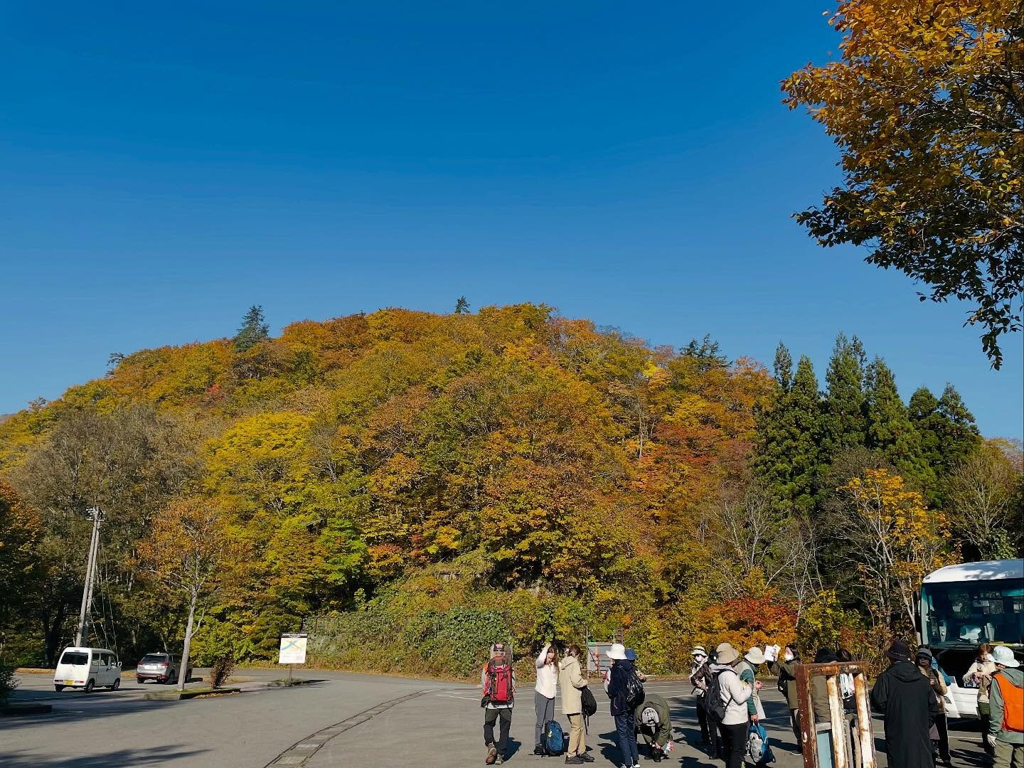 【白神山地の紅葉が見ごろです】