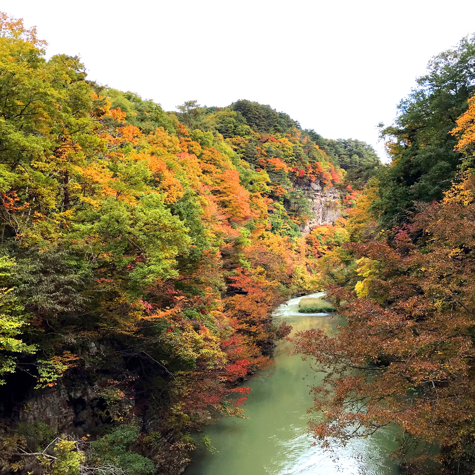 里山紅葉02.jpg