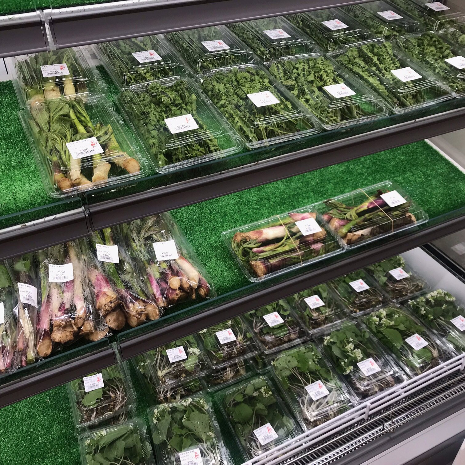 【いよいよGW開始!】