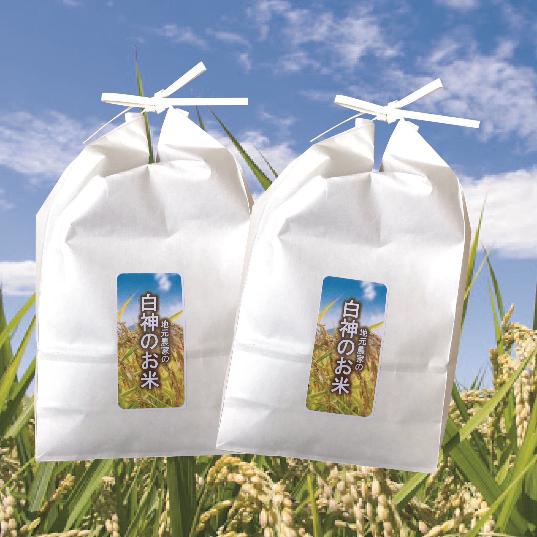 ~新商品・白神のお米の販売!~