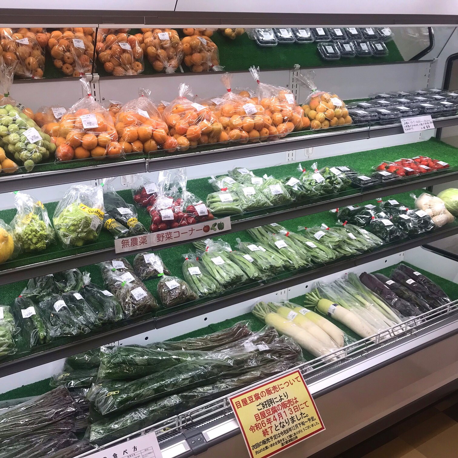 【新商品・西目屋産うど塩漬け販売中】