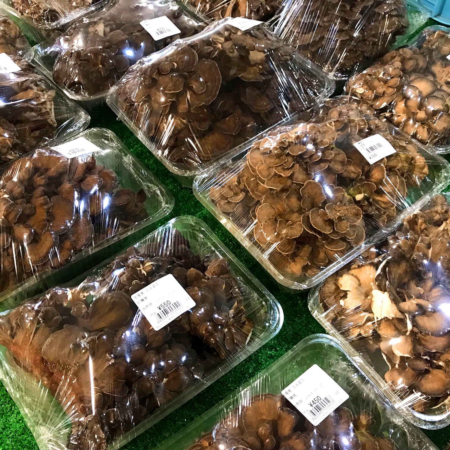 【10月7・8・9日・3連休!】