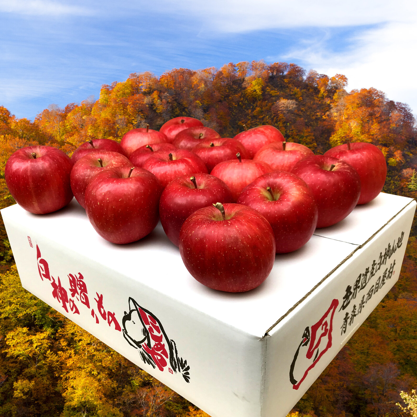 【「白神山地りんご」はいかがでしょうか?