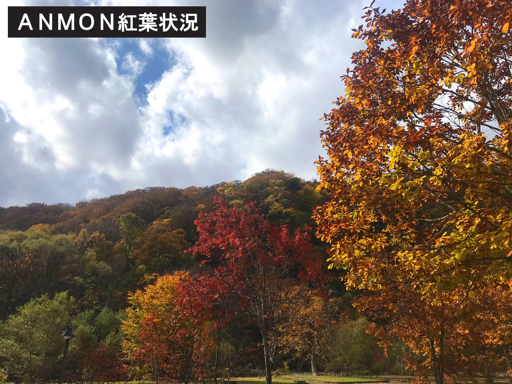 ＡＮＭＯＮ紅葉02.jpeg