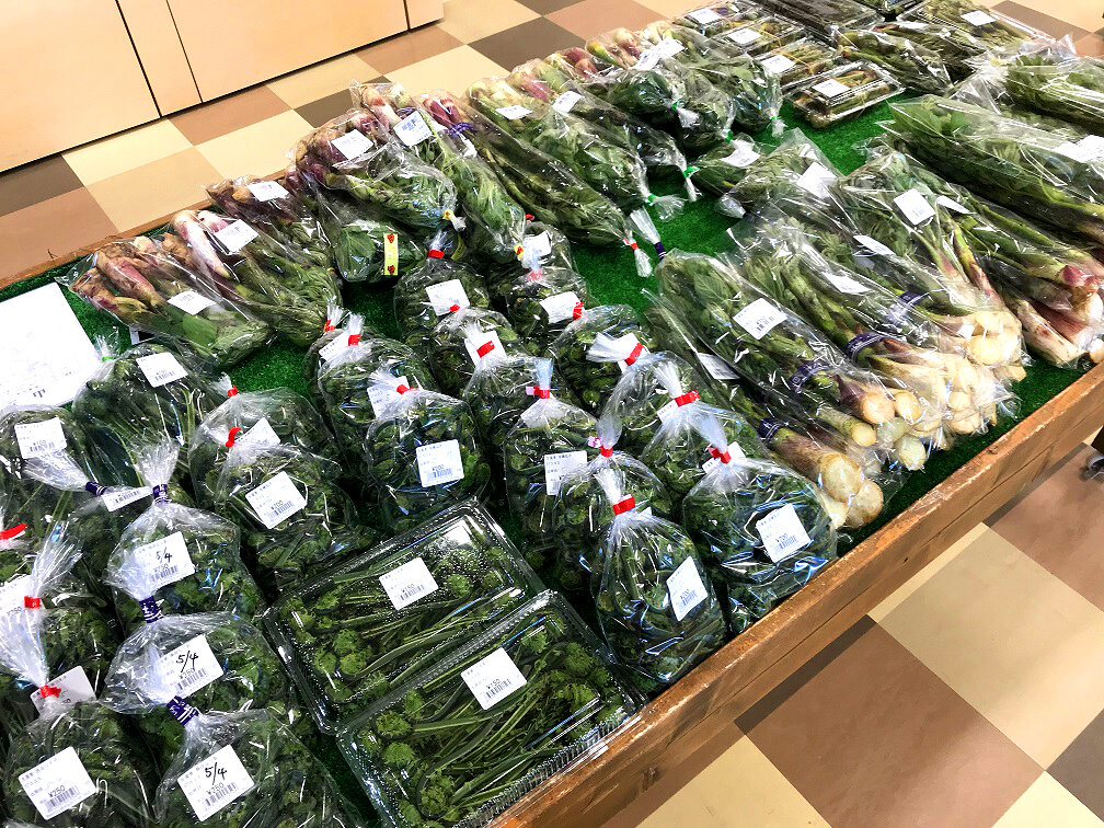 ～春の山菜で大賑わい～