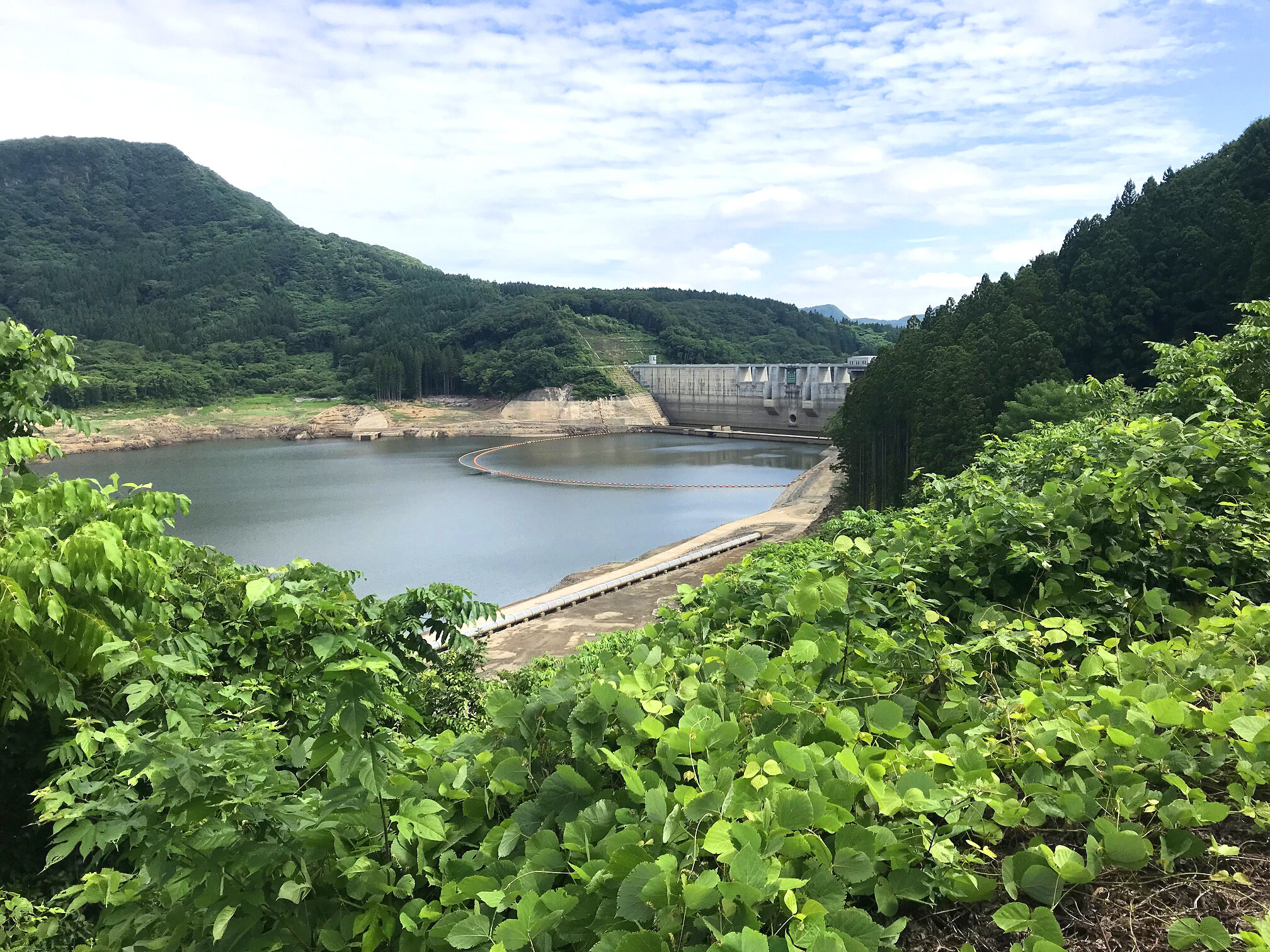 ～水陸両用バス臨時運休について～