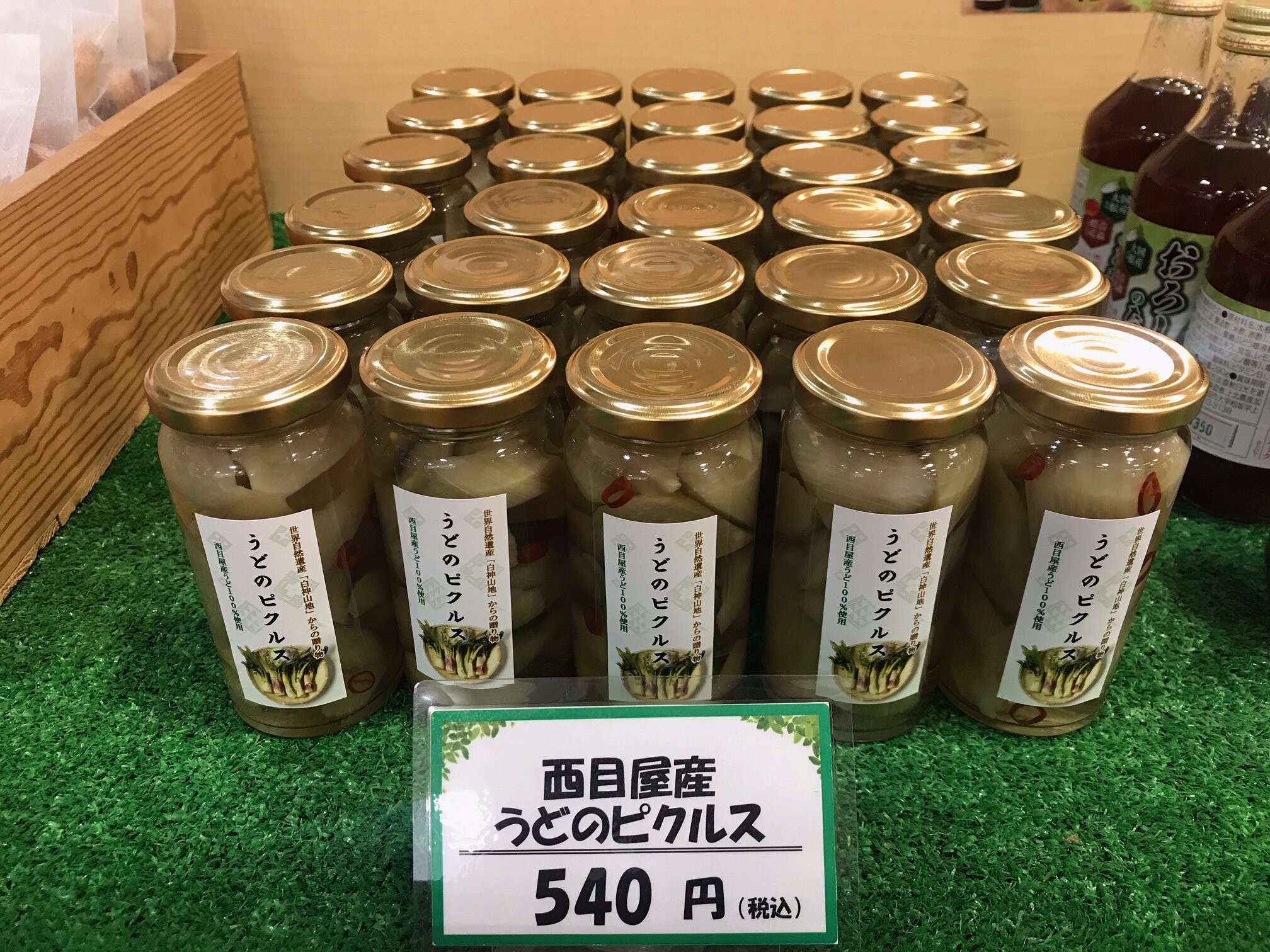 image00.jpeg
