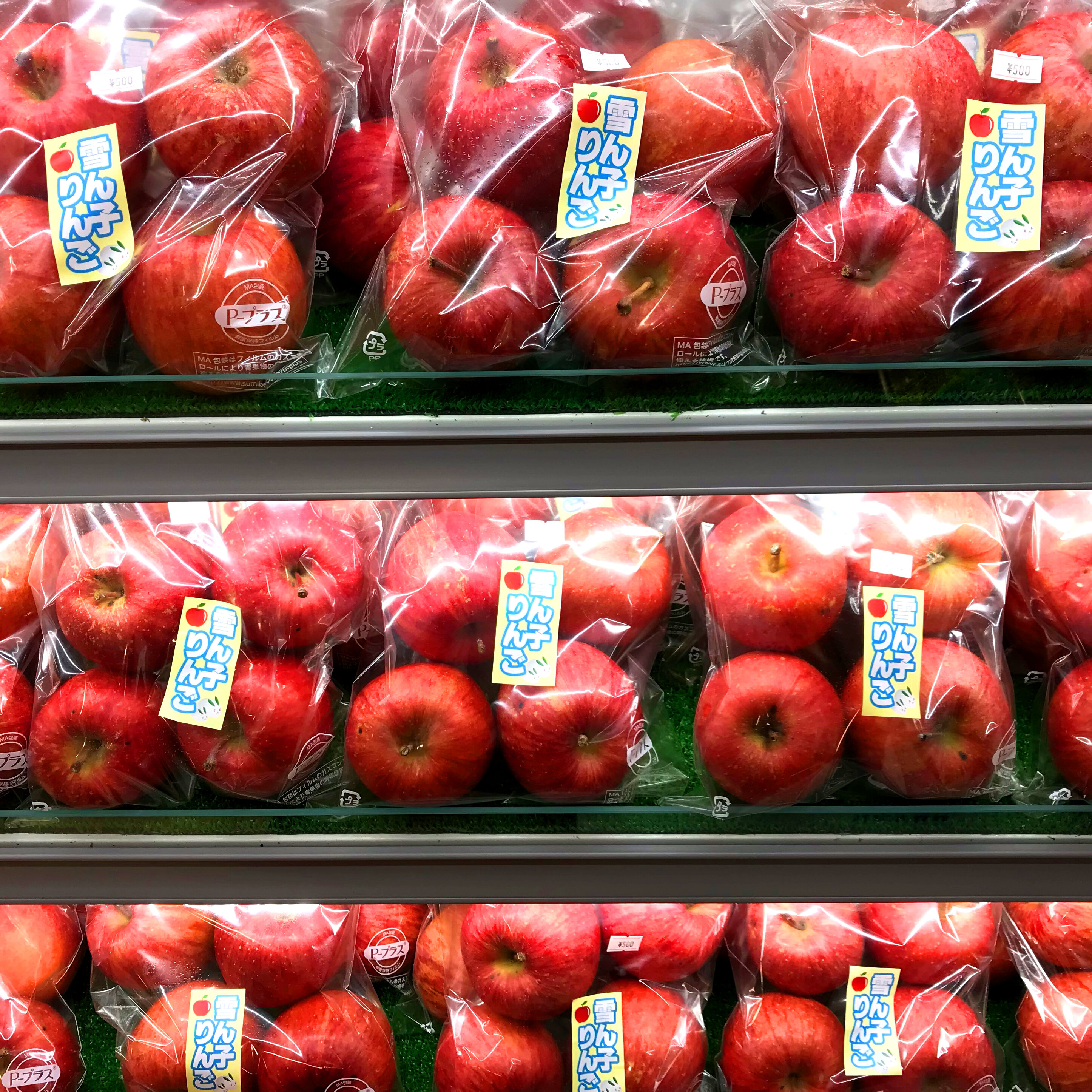 ~白神・雪室りんご販売中~