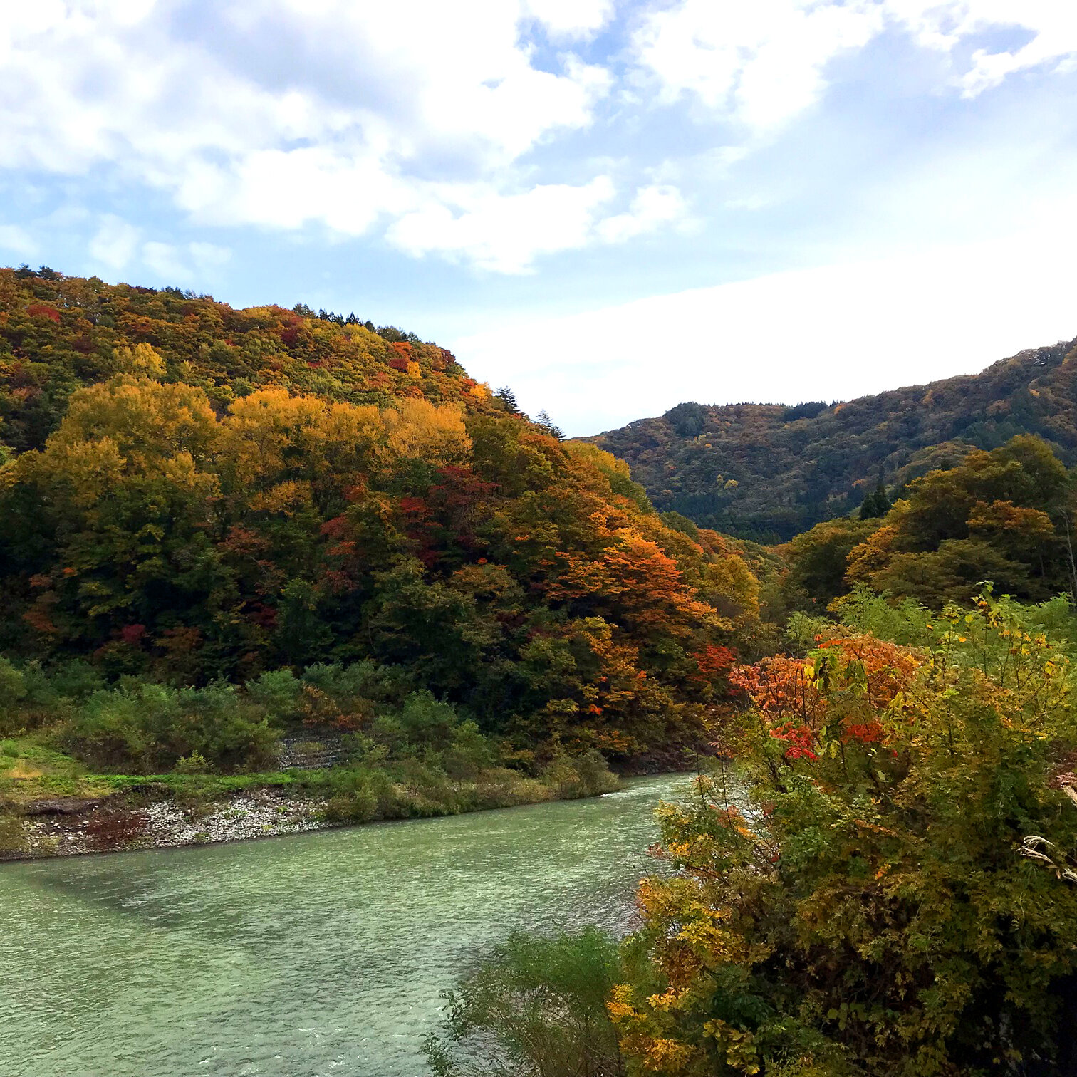 ダム紅葉.jpg