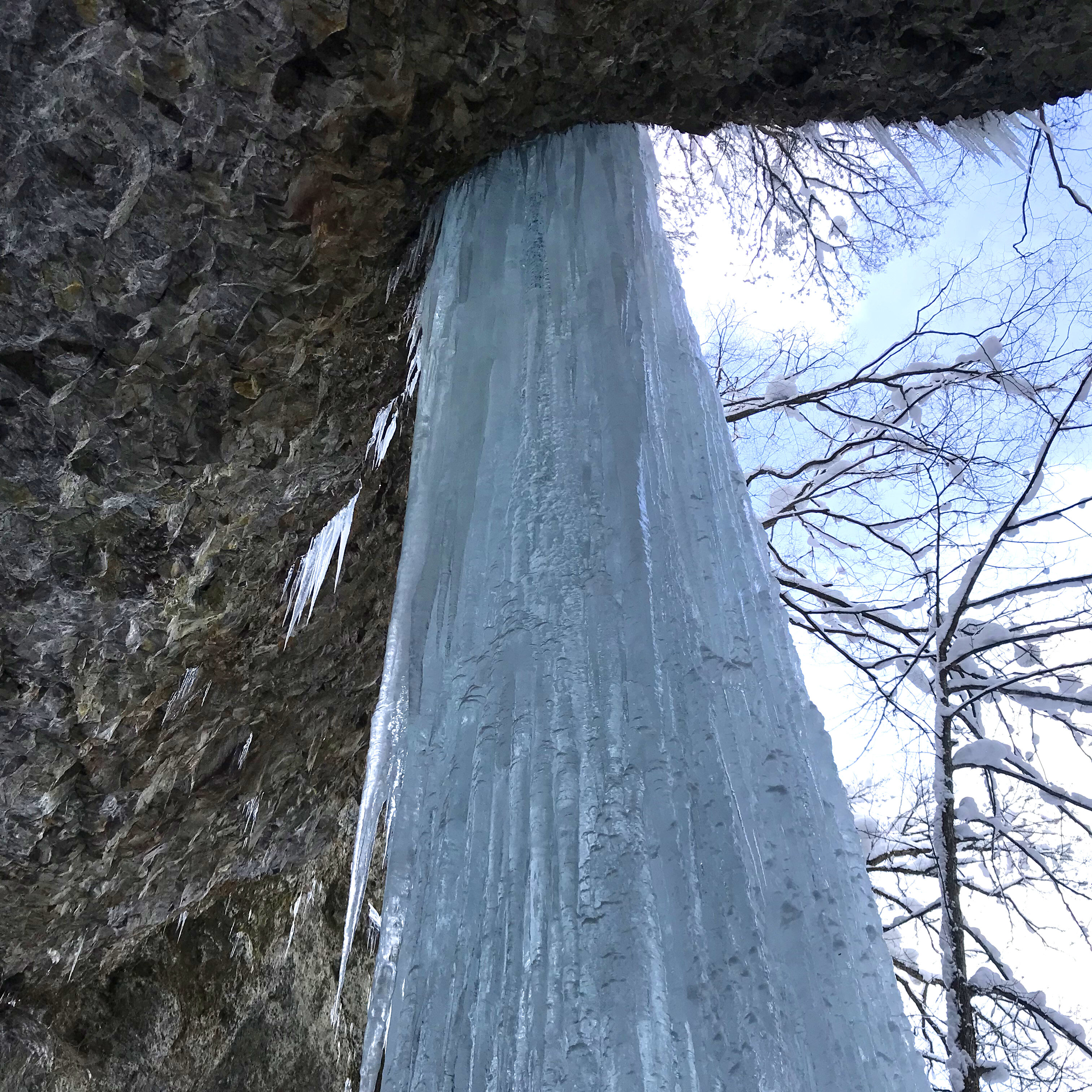 『これは結氷か!?』