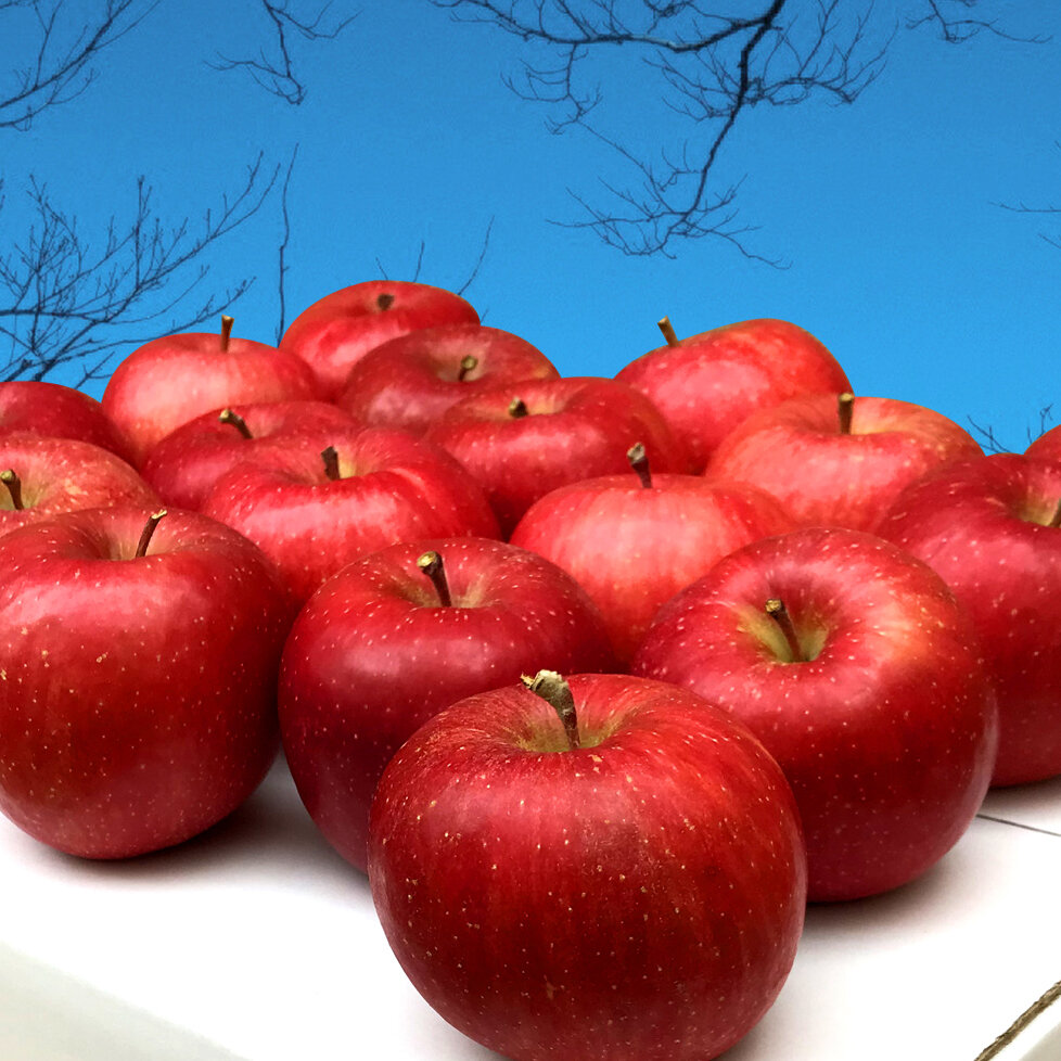 ~白神・雪室りんごの販売について~